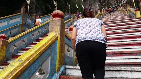 Monkey Steals A Woman's Water, Kuala Lumpur, Malaysia - 30 Sep 2014 Stock Footage 209911984
