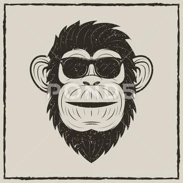 Monkey in sunglasses vector grunge t-shirt printing design Stock Illustration