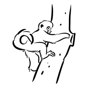 Monkey on tree clip art drawing Stock Illustration