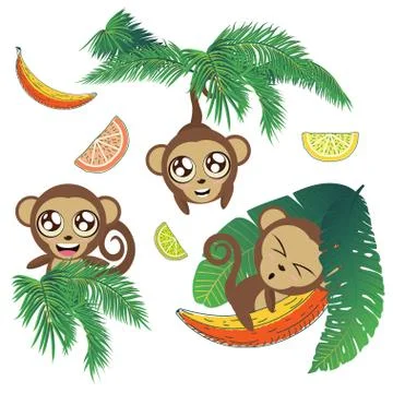 Monkey with tropical leaves Stock Illustration