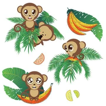 Monkey with tropical leaves Stockillustratie