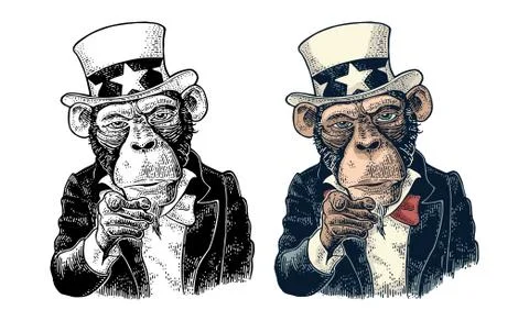 Monkey Uncle Sam with pointing finger at viewer. Vintage engraving Stock Illustration