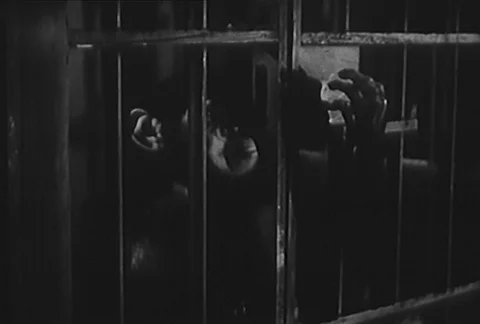 Monkey unlocking cage in laboratory and letting himself out, 1950s Видео 95347026