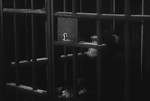 Monkey unlocking himself from behind bars, 1950s Stock Footage 95346924