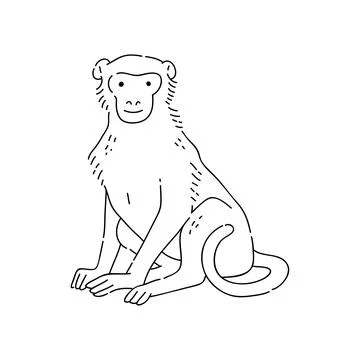 Monkey vector doodle animal of Eastern astrological calendar black outline on Stock Illustration