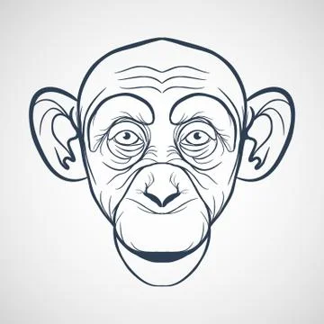 Monkey vector Stock Illustration
