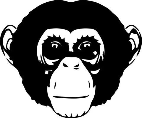 Monkey vector isolated on background Stock Illustration