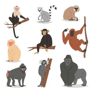 Monkey vector set cute animal macaque monkeyish cartoon character of primate Stock Illustration
