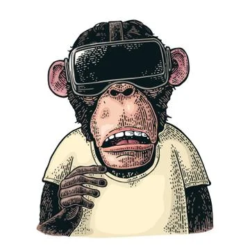 Monkey wearing virtual reality headset and t-shirt. Vintage color engraving Stock Illustration