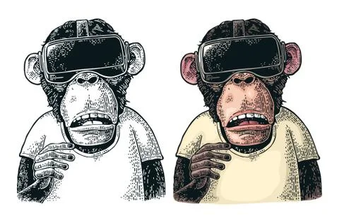 Monkey wearing virtual reality headset and t-shirt. Vintage color engraving Stock Illustration