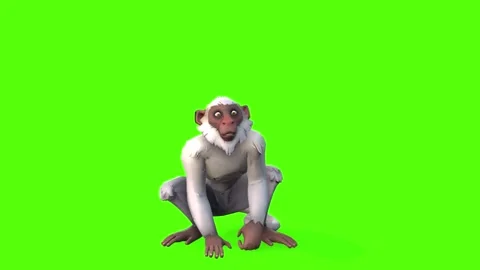 Monkey Yawn Green Screen Animation 4K Re... | Stock Video | Pond5