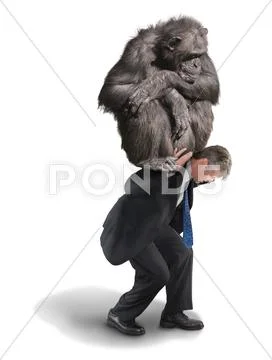 Monkey on Your Back Drug Addiction Financial Burden Stock Photos