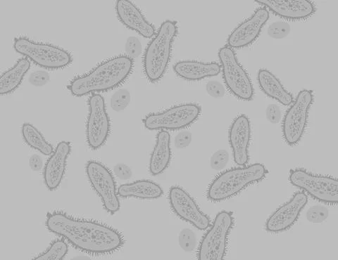 Monkeypox human skin Close-up. Outbreak of a viral infection. Rash. Vector ed Stock Illustration