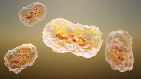 Monkeypox infection pandemic. monkeypox cell, variant of smallpox, Stock Footage 195503048