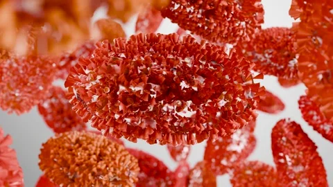 Monkeypox infection pandemic. monkeypox cell, symptoms or precautions Stock Footage 282510950