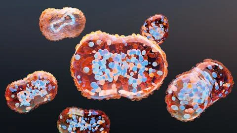 Monkeypox infection pandemic. monkeypox cell, symptoms or precautions, variant 스톡 일러스트