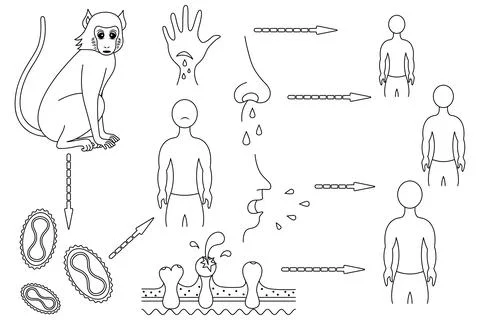 Monkeypox. Sketch. Monkey - virus - man. Illustrazione stock