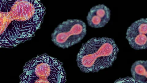 Monkeypox virus, 3D animation Stock Footage 196315338
