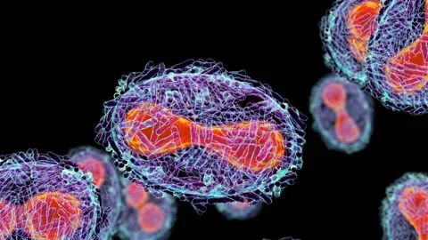 Monkeypox virus, 3D animation Stock Footage 196325468
