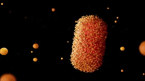 Monkeypox virus 3d animation in humman body 4k Video stock 244931984