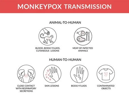 Monkeypox virus microscopic view, flat design icon. Vector Illustration. Dise Stock Illustration