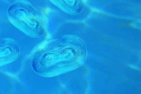 Monkeypox virus model. Concept of searching for antibodies to Monkeypox virus. Stock Photos