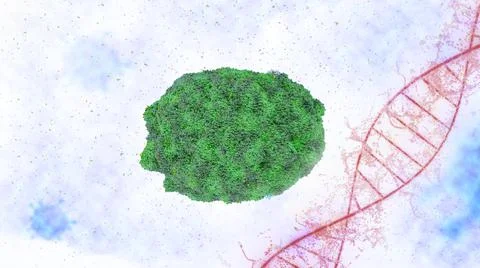 Monkeypox virus is a poxvirus transmitted to humans from monkeys Stock Illustration