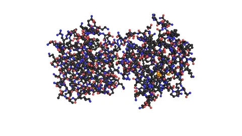 Monkeypox Virus Protein Crystal Structure Profilin-like molecule Monkey Pox Loop Stock Footage 194961777