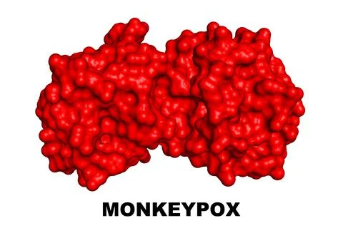 Monkeypox Virus Protein Crystal Structure Profilin-like molecule Monkey Pox Illustrazione stock