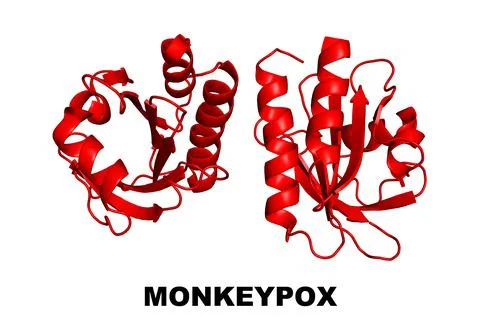Monkeypox Virus Protein Crystal Structure Profilin-like molecule Monkey Pox Illustrazione stock