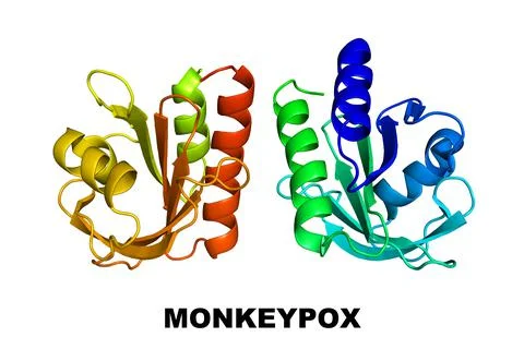 Monkeypox Virus Protein Crystal Structure Profilin-like molecule Monkey Pox Stock Illustration