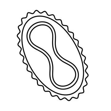 Monkeypox virus. Sketch. Vector illustration. Illustrazione stock