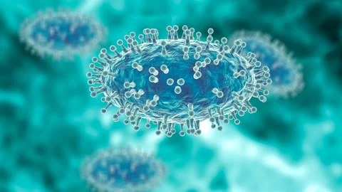 Monkeypox virus is a smallpox-like viral infection transmitted from animals Stock Footage 195551830