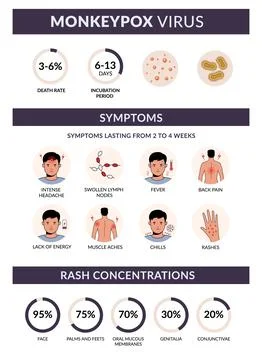 Monkeypox virus symptoms vector infographic. Rash concentration, rate, fever, Illustrazione stock