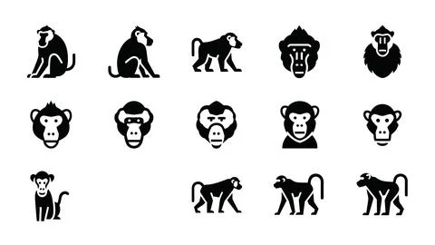 Monkeys and primate icons in flat black and white design. Stock Illustration