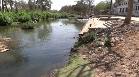 Monkeys are bathing 1 스톡 동영상 22478738