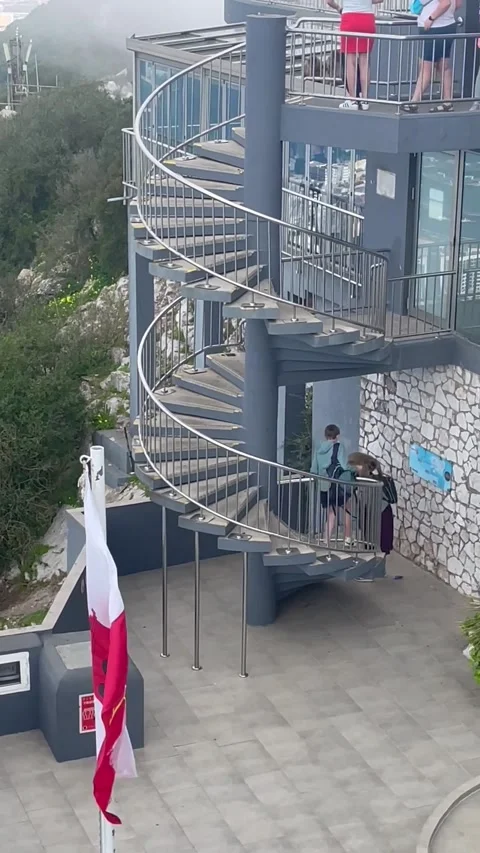 Monkeys Attack Tourists at Gibraltar, Gibraltar - 22 Feb 2022 Stock Footage 205423847
