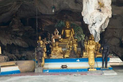 Monkeys in the Buddhist temple Stock Photos