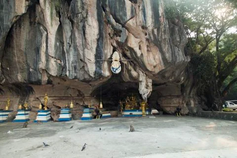 Monkeys in the Buddhist temple Stock Photos
