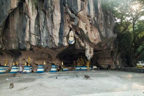 Monkeys in the Buddhist temple Stock Photos
