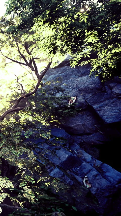 Monkeys climbing rocks in a forest during daylight Stock Footage 331683284