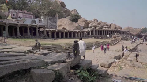 Monkeys with cubs on the steps of the temple. Stock Footage 145497988