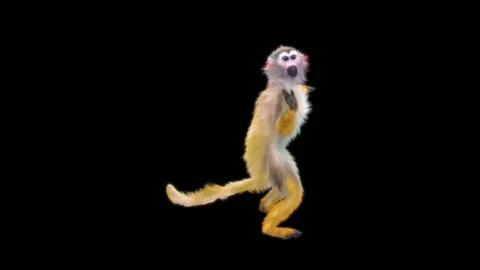 Monkeys Dancing, with Alpha matte. Stock Footage 138721374