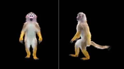 Monkeys Dancing, with Alpha matte. Stock Footage 138723548