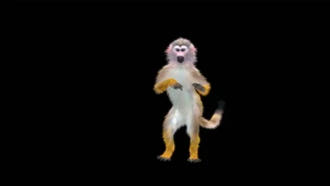 Monkeys Dancing, with Alpha matte. 库存影片 222975960