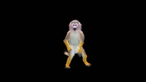 Monkeys Dancing, with Alpha matte. 库存影片 222976433