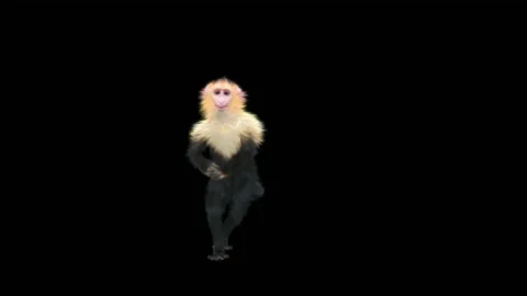 Monkeys Dancing, with Alpha matte. 库存影片 228062502