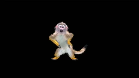 Monkeys Dancing, with Alpha matte. Stock Footage 229552295