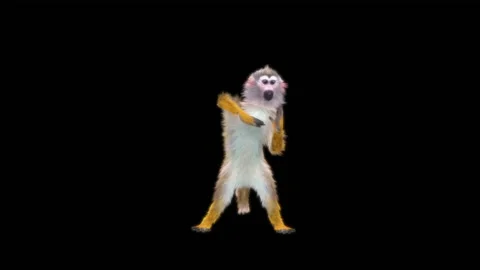 Monkeys Dancing, with Alpha matte. 動画素材 231239493