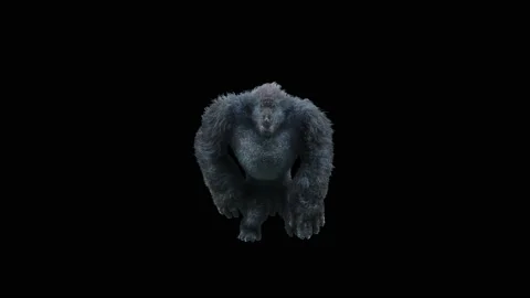 Monkeys Dancing, with Alpha matte. Video stock 236027366